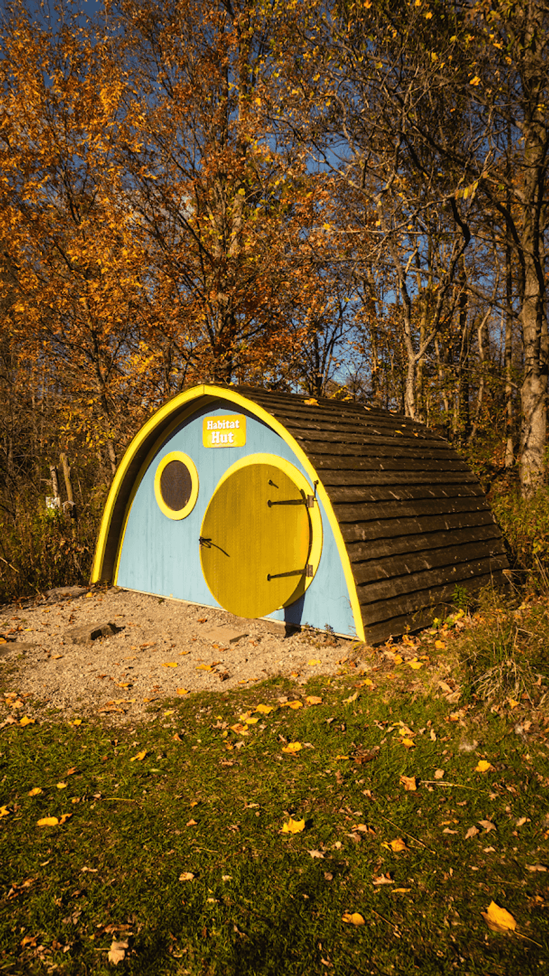 Skeleton Grove: A Wildly Fun Fall Season Event