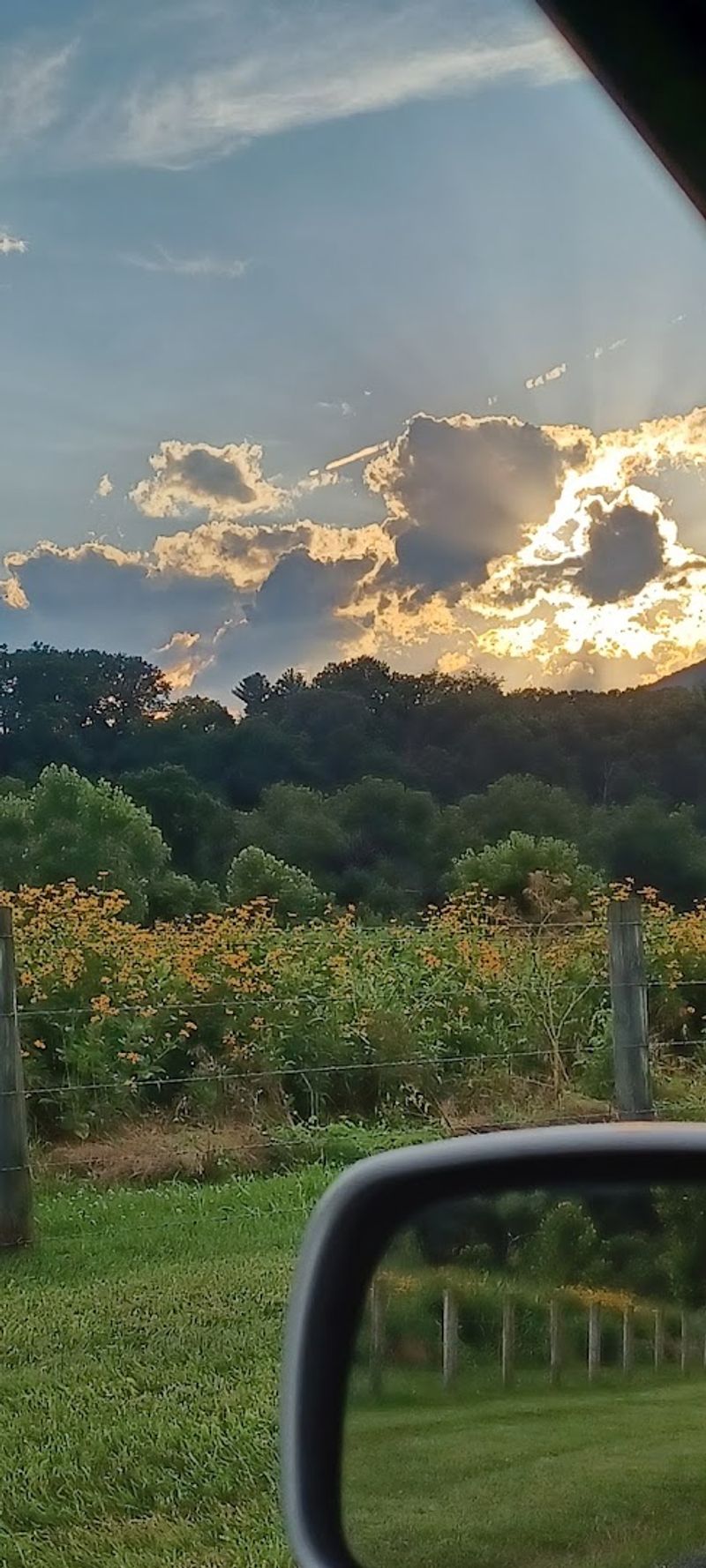 Skyline Drive: One of America's Greatest Scenic Roads