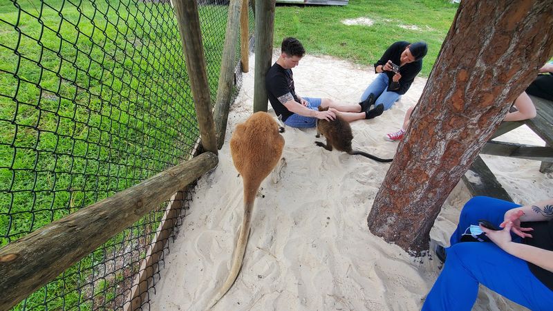 Small Group Tours That Feel Personal Small Group Tours That Feel Personal