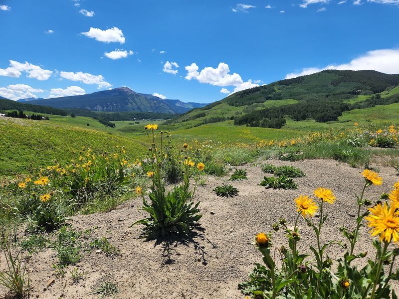 Snodgrass Trail Loop