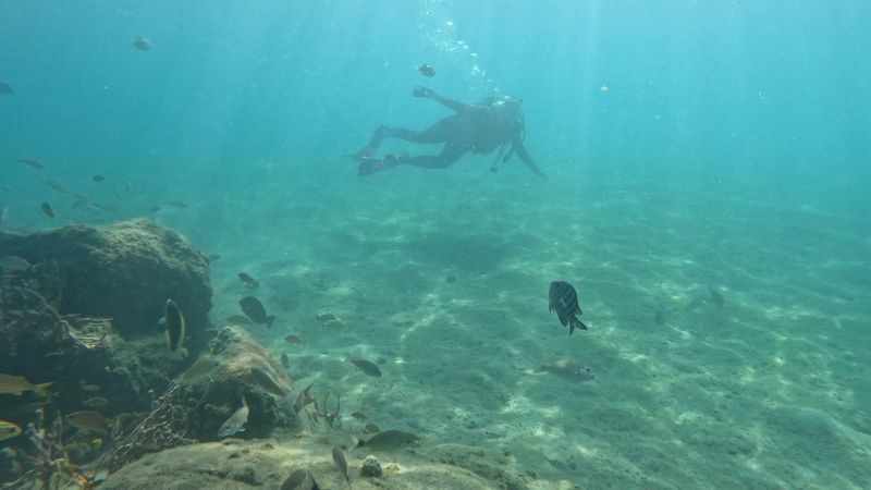 Snorkel Gear Tips and What to Bring