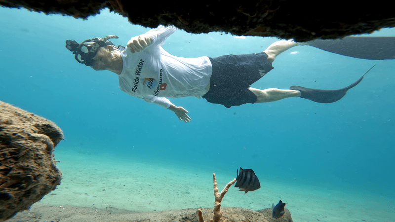 Snorkeling Under Blue Heron Bridge