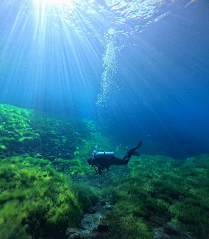 Snorkeling and Scuba Diving Opportunities