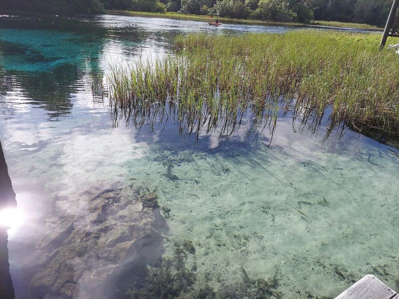 Snorkeling in Spring-Fed Water With Incredible Visibility