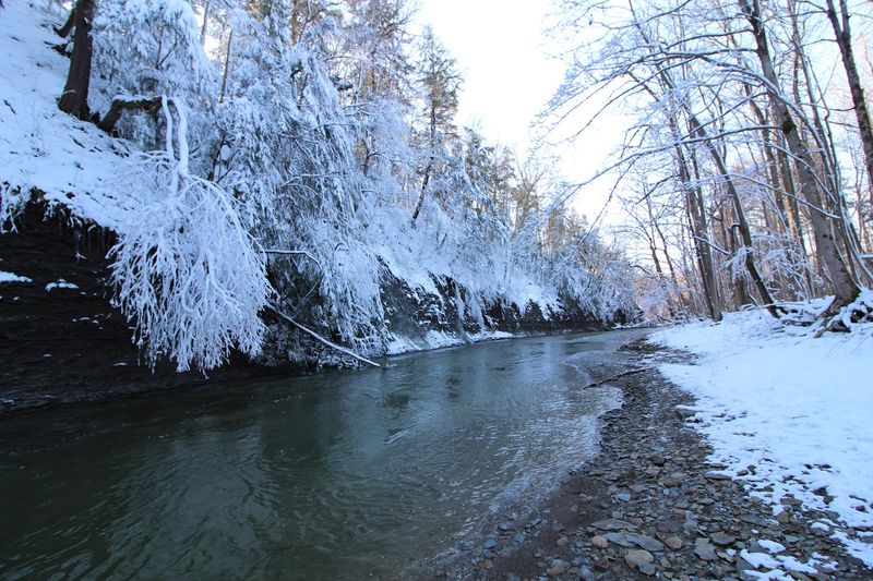 Snowshoeing in Winter Transforms the Preserve Into a Whole New World Snowshoeing in Winter Transforms the Preserve Into a Whole New World