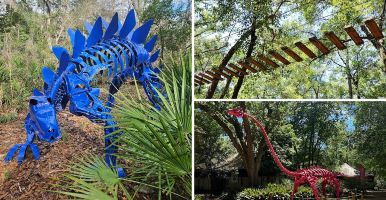 Soar Over Swamps And Stroll Past Recycled Metal Dinosaurs At This Unique Florida Museum
