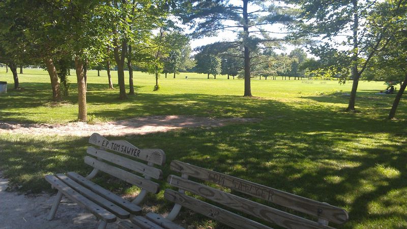Soccer Fields Where the Action Never Stops Soccer Fields Where the Action Never Stops