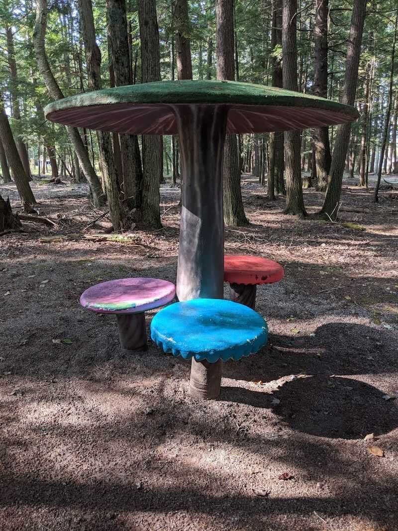 Soft Serve Ice Cream and Picnic Spots to Relax