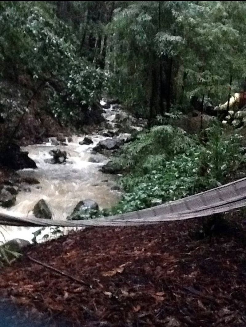 Soothing Sounds of the Creek