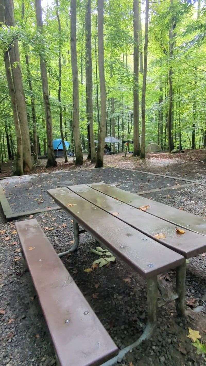 Spacious Tent Pads and Fire Rings at Every Site Spacious Tent Pads and Fire Rings at Every Site