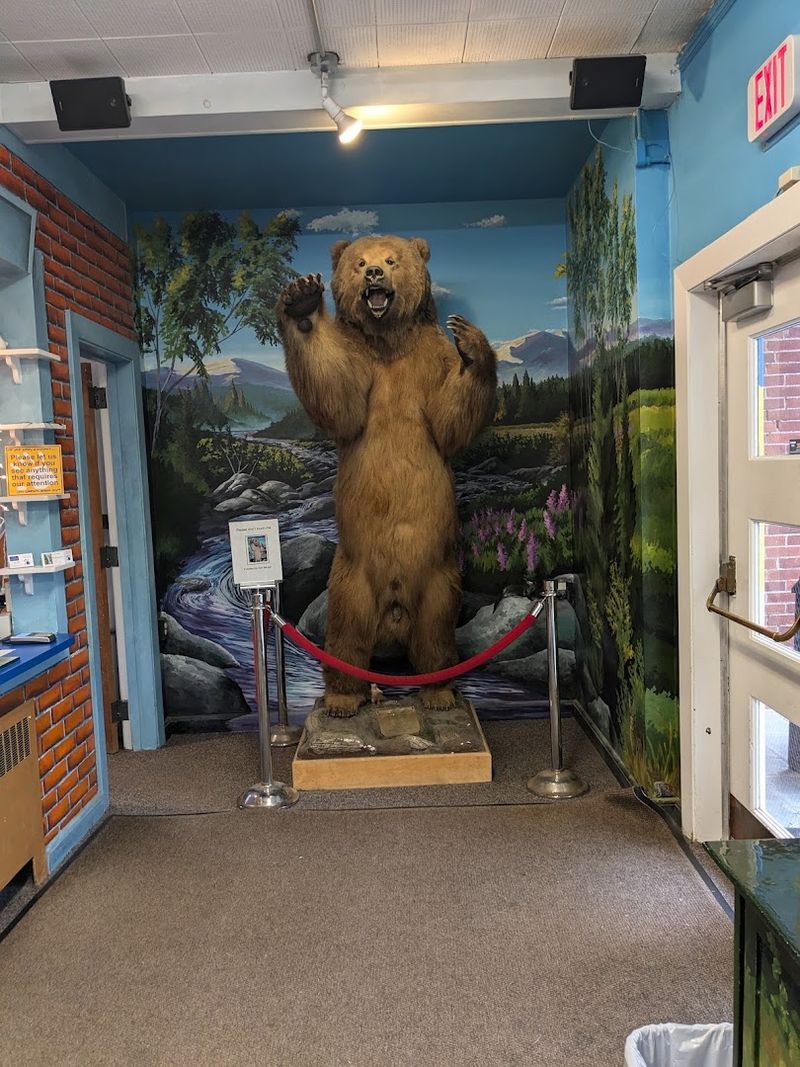 Special Events Like Groundhog Day Celebrations Special Events Like Groundhog Day Celebrations