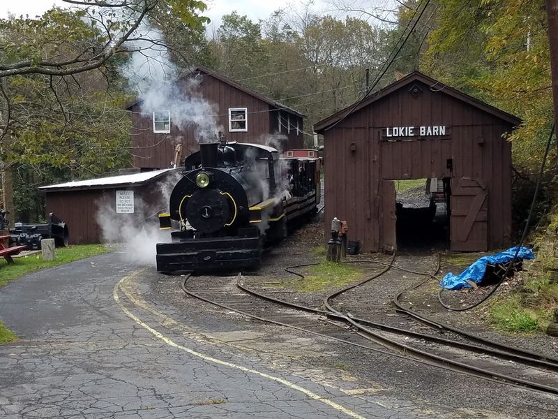Special Events and Seasonal Experiences