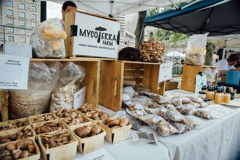 Specialty Mushrooms and Microgreens for the Adventurous Home Cook