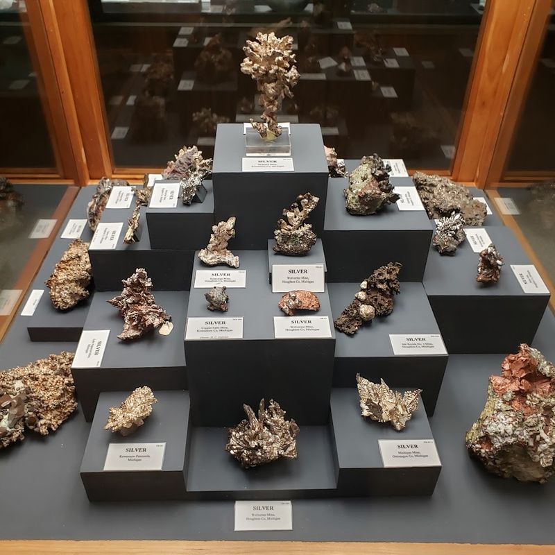 Specimens Sourced From Around the Globe