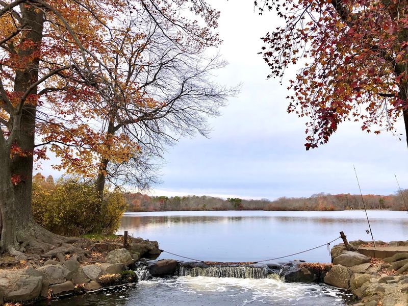 Spectacular Fall Foliage Views Spectacular Fall Foliage Views