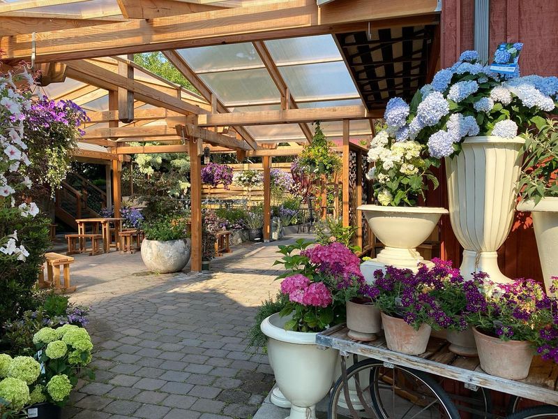 Spectacular Seasonal Blooms Year-Round Spectacular Seasonal Blooms Year-Round