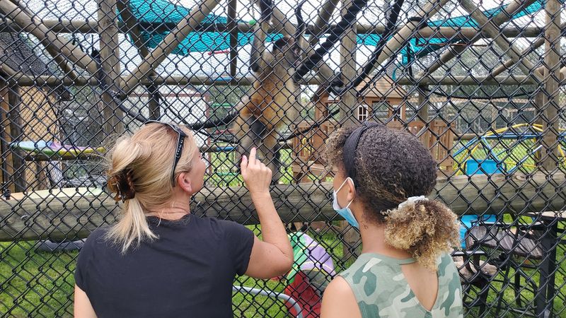 Spending Time with Lemurs Up Close Spending Time with Lemurs Up Close