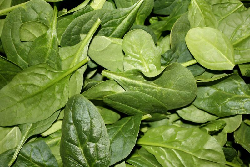 Spinach Spinach