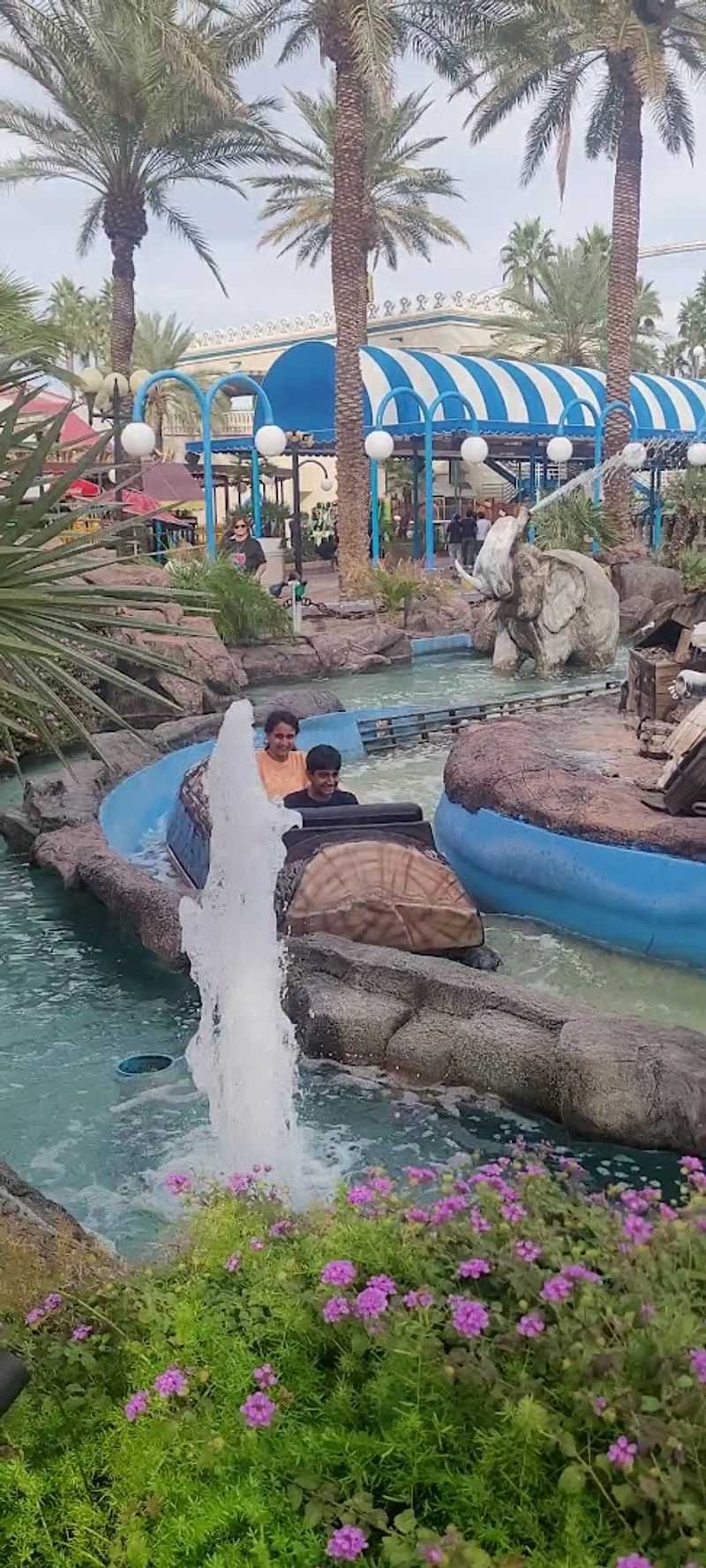 Splashdown Log Flume Ride