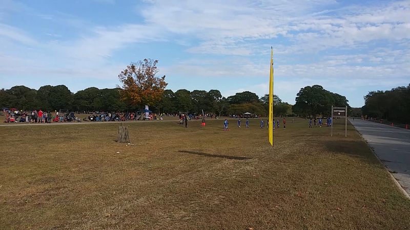Sports Fields That Cater to Every Kind of Player