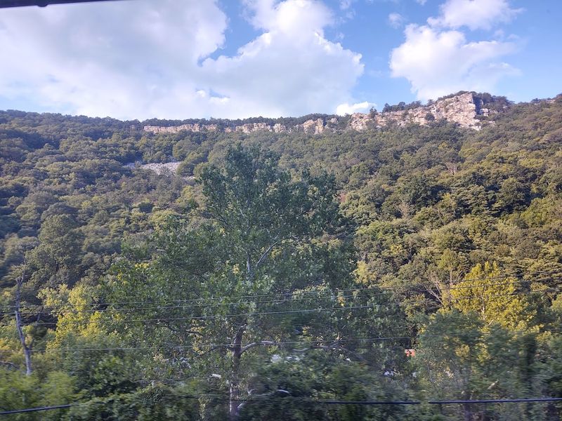 Spotting Eagles and Wildlife Along the Rail Corridor