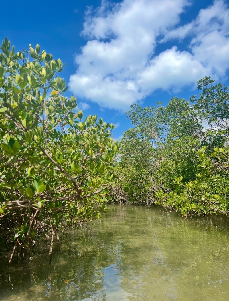 Spotting Rare and Colorful Birds All Year Long Spotting Rare and Colorful Birds All Year Long