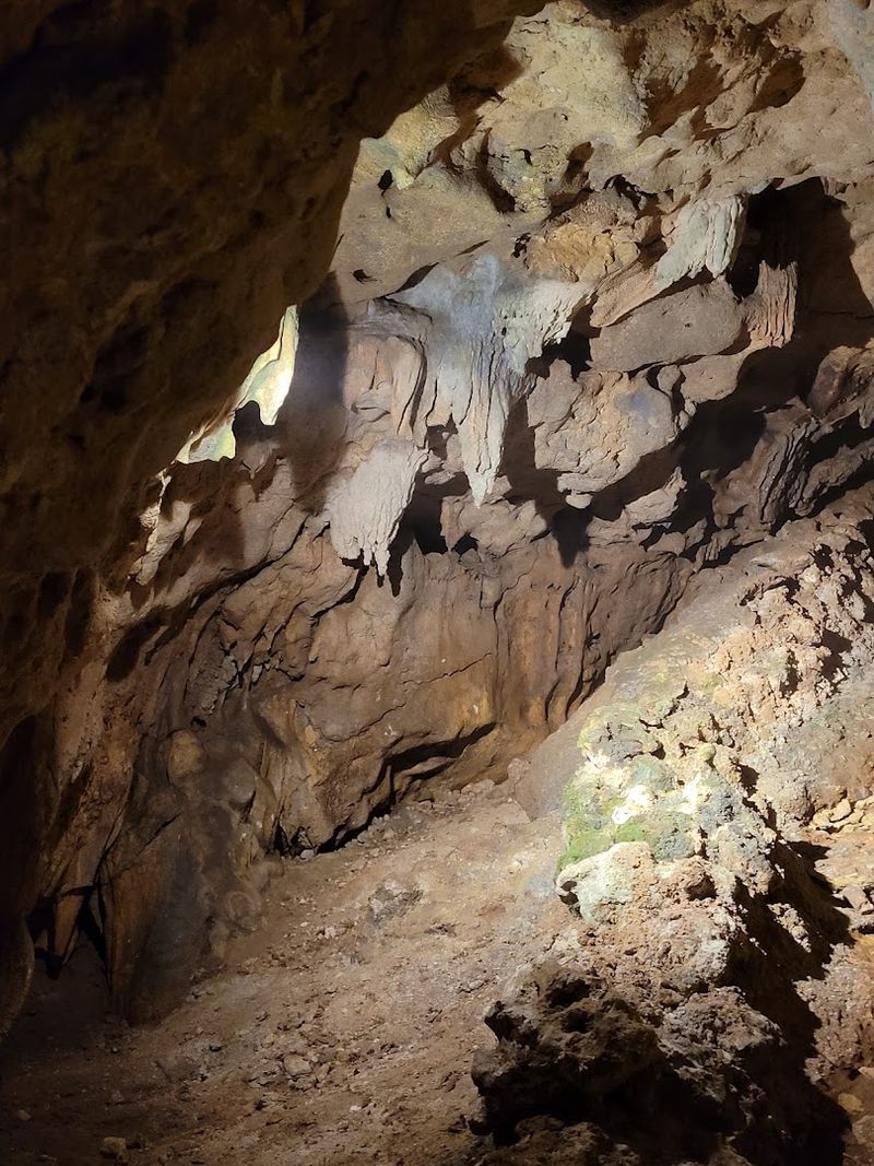 Spotting Wildlife Inside the Cave