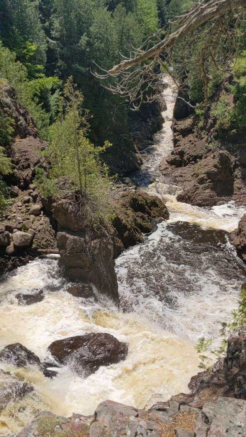 Spring Hiking: Wildflowers, Waterfalls, and Zero Bugs