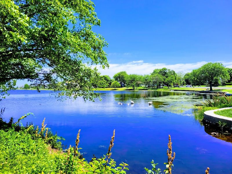Spring Lake Itself: A Freshwater Gem in the Middle of Town
