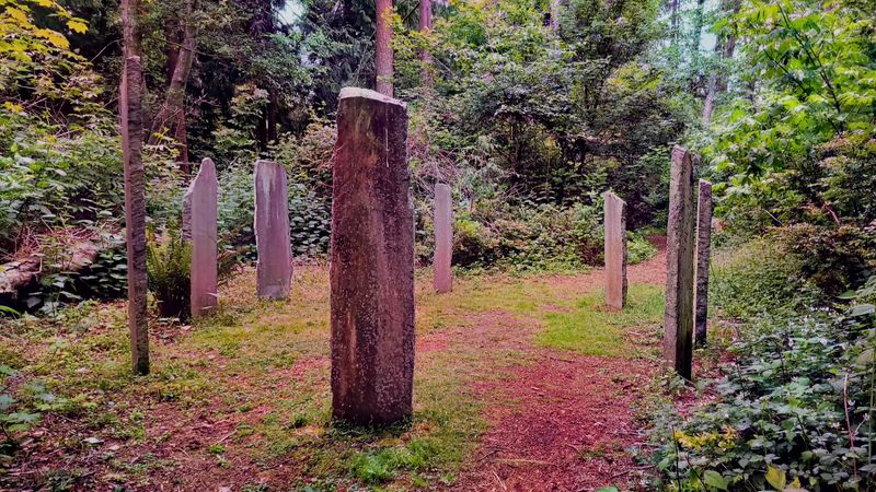 Stone Circles That Feel Pulled From Ancient Times