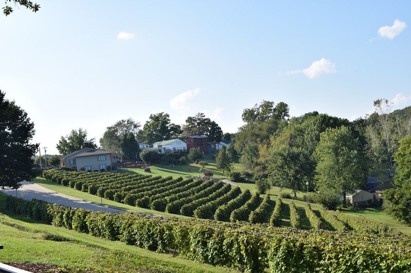 Stone Hill Winery: A Living Piece of Missouri History