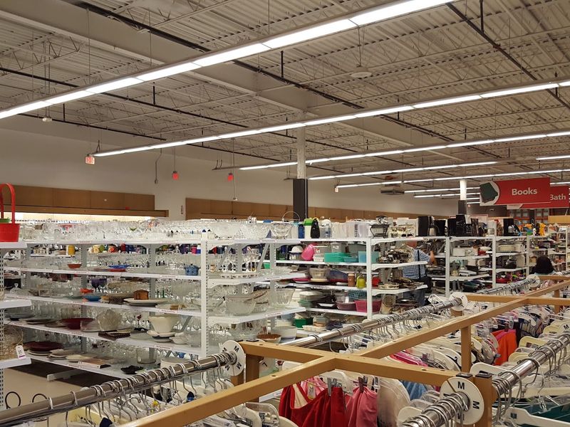 Store Organization That Makes the Hunt More Manageable