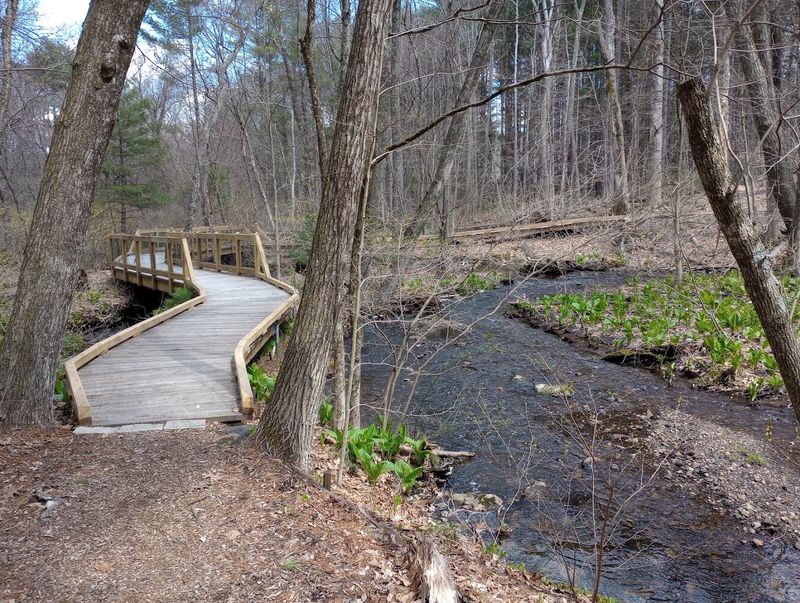 Streams, Small Waterfalls, and a Charming Wooden Boardwalk Streams, Small Waterfalls, and a Charming Wooden Boardwalk