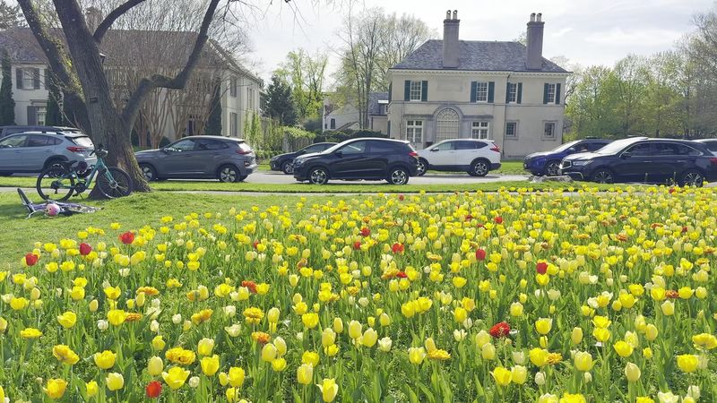 Street Parking Tips to Make Your Visit Smoother Street Parking Tips to Make Your Visit Smoother