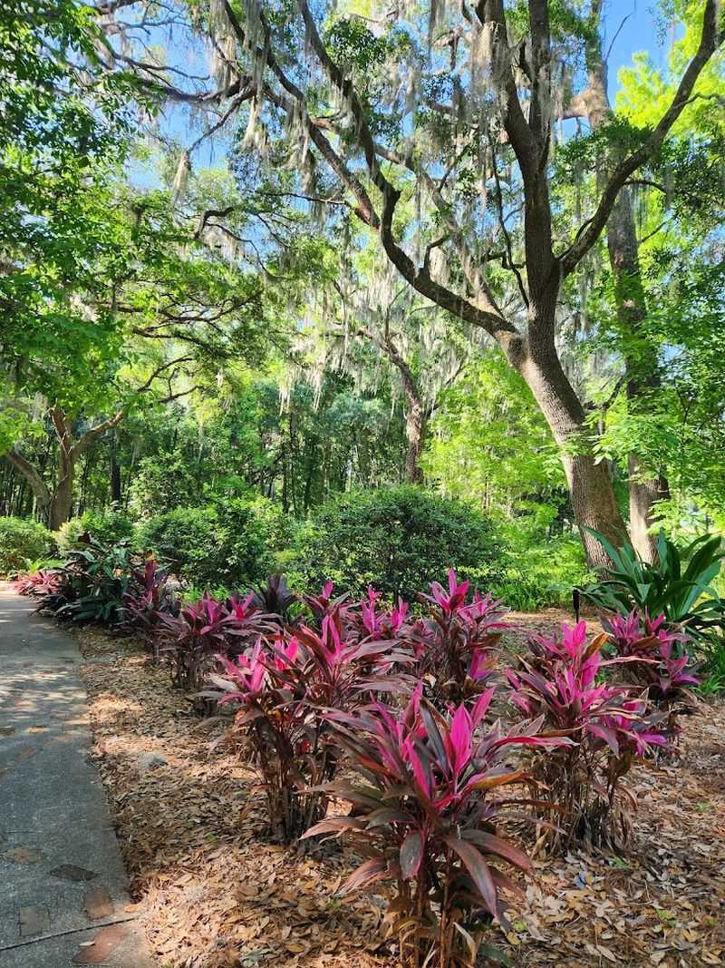 Stunning Botanical Gardens Full of Color and Life