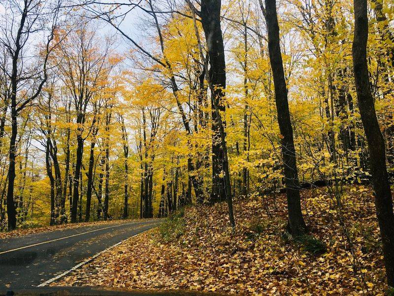 Stunning Fall Foliage Drives and Views