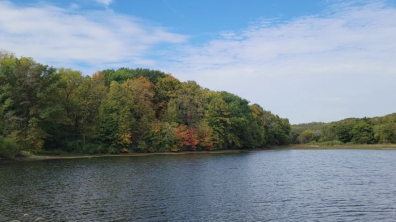 Stunning Fall Foliage That Transforms the Park Stunning Fall Foliage That Transforms the Park