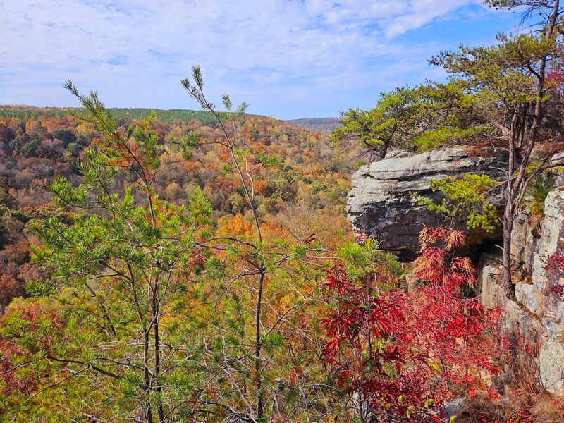 Stunning Fall Foliage and Seasonal Beauty