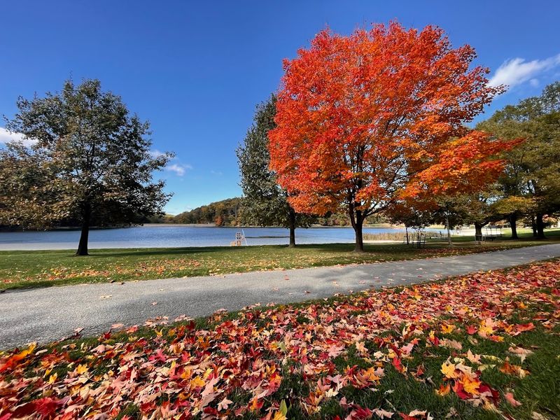 Stunning Lakeside Views Worth Every Single Visit