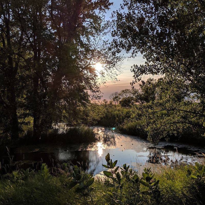 Stunning Sunsets Over the Wetlands That Stop You in Your Tracks