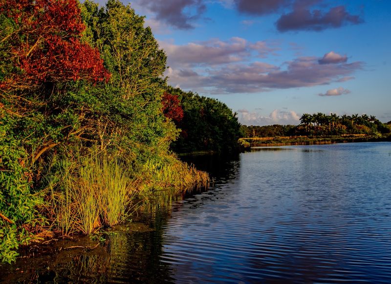 Stunning Sunsets That Paint the Sky Over the Marsh