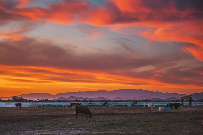 Stunning Views of Vineyards and Mountain Sunsets