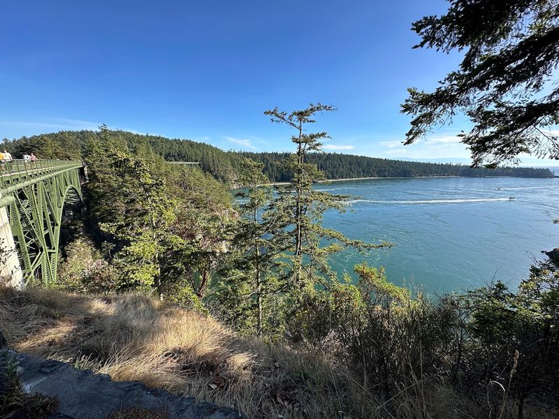 Stunning Views of the Salish Sea