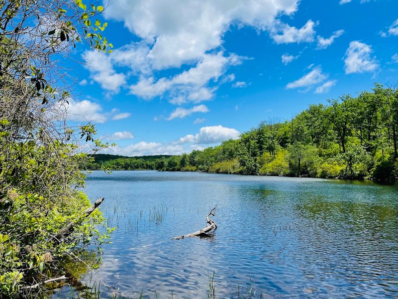 Sunfish Pond - Hardwick Township, New Jersey