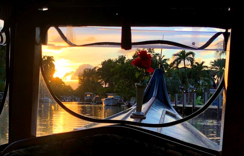 Sunset Rides That Paint the Sky in Gold Sunset Rides That Paint the Sky in Gold