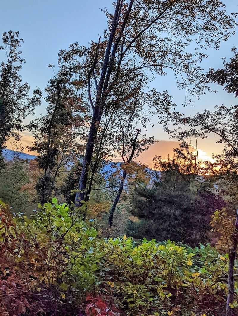Sunset Rides That Paint the Sky in Gold