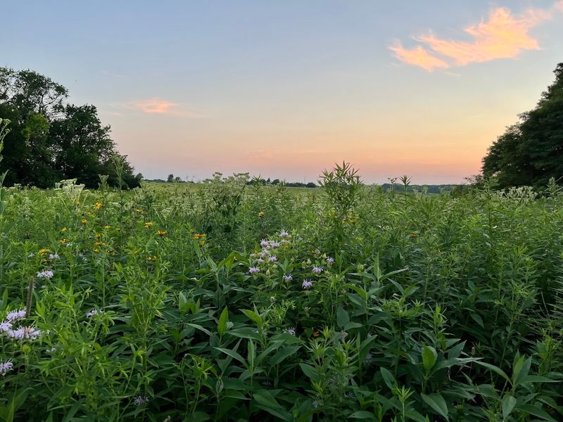 Sunsets Over the Prairie That Feel Almost Magical