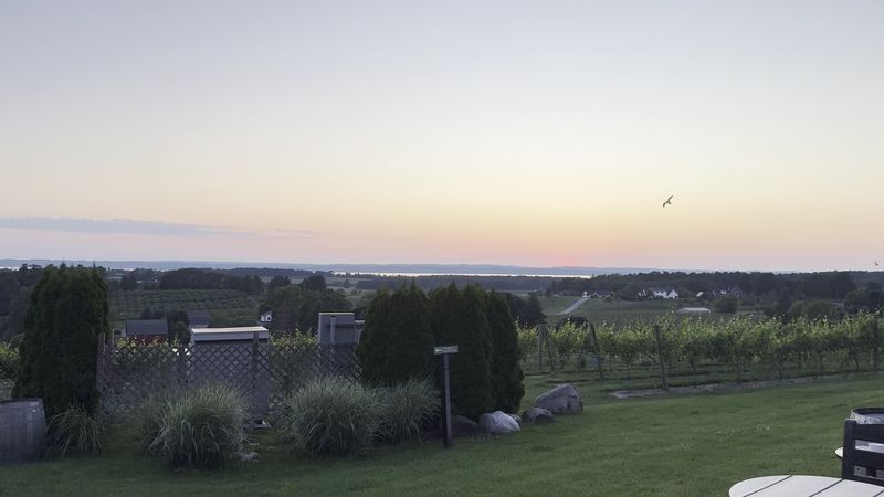 Sunsets That Feel Like a Painting