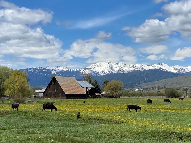 Surrounded by the Wallowa-Whitman National Forest Surrounded by the Wallowa-Whitman National Forest