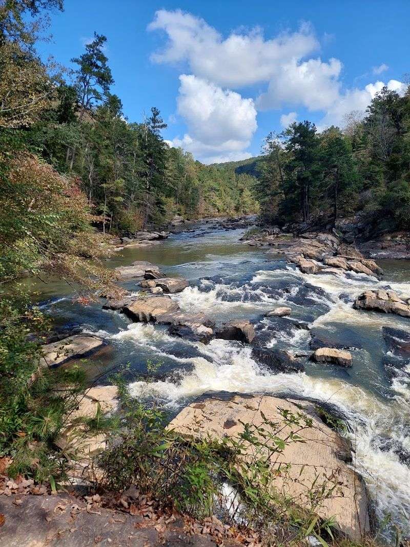 Sweetwater Creek Itself: The Lifeblood of the Park Sweetwater Creek Itself: The Lifeblood of the Park